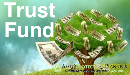 What is a Trust Fund and How Does It Work? Types, Meaning & Definition