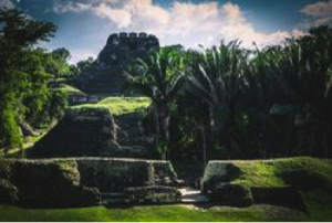 Belize Trust