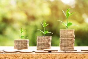Domestic Asset Protection Trusts