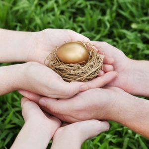 nest egg protection