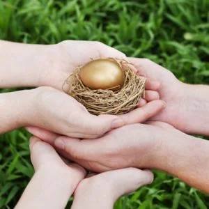 Asset Protection Nest Egg