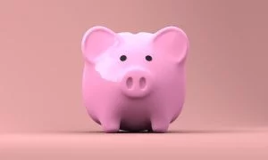Introduction to Asset Protection Trusts 