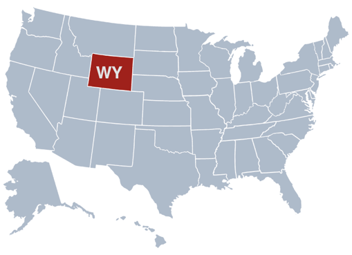 Wyoming LLC