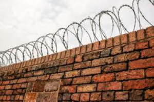 wall razor wire trust