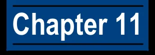 Chapter 11