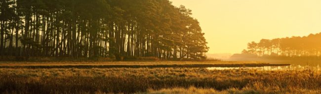 5 Ways to Protect Your Assets from Lawsuits
