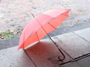 asset protection umbrella